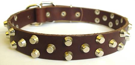 best leather dog collar for Golden Retriever 