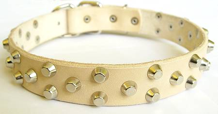 Golden Retriever dog collar for walking