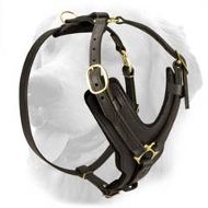 Handmade Leather Golden Retriever Harness Handmade Leather Golden Retriever Harness