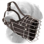 Golden Retriever Wire Cage Muzzle for Training Golden Retriever Wire Cage Muzzle for Training