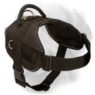 Golden Retriever Nylon multi-purpose dog harness- tracking/pulling Golden Retriever Nylon multi-purpose dog harness- tracking/pulling