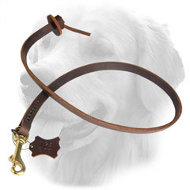 Professional Short Pull Tab Leather Golden Retriever Leash Professional Short Pull Tab Leather Golden Retriever Leash