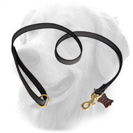 Professional I-Grip Nylon Golden Retriever Leash for Different Activities Professional I-Grip Nylon Golden Retriever Leash for Different Activities