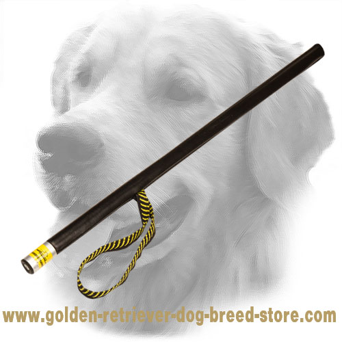 Golden Retriever Agitation Stick for Schutzhund Training