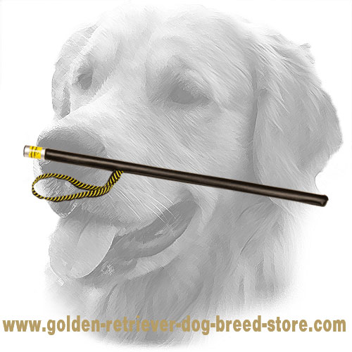 Leather Covered Golden Retriever Agitation Stick with Loop