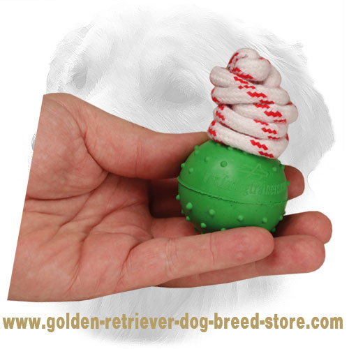 Rubber Golden Retriever Ball for Training and Walking