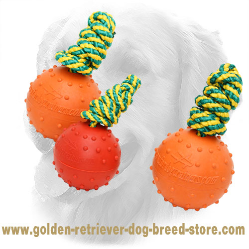 Rubber Golden Retriever Ball with Dotted Surface