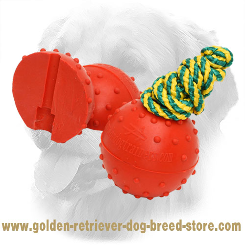  Golden Retriever Ball with Strong Nylon Rope