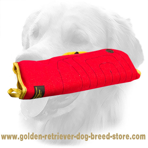 Golden Retriever Bite Sleeve for Dog Training