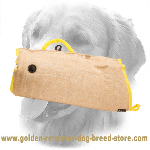 Golden Retriever Bite Sleeve for Dog Training