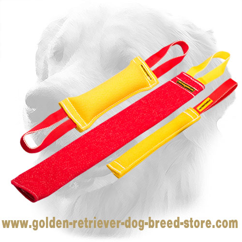 French Linen Golden Retriever Bite Training Set for Puppies