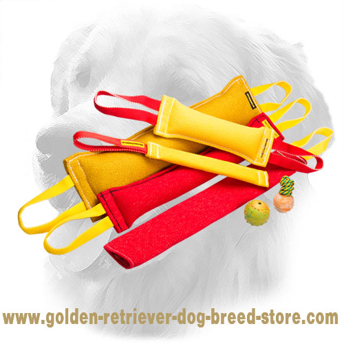 Convenient in Use French Linen Golden Retriever Bite Training Set for Training
