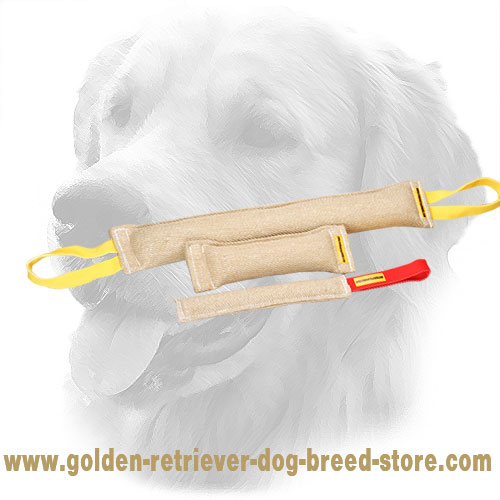 Jute Golden Retriever Bite Training Set for Adult Dogs