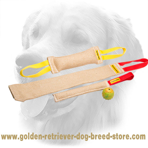 Jute Golden Retriever Bite Training Set for Puppies