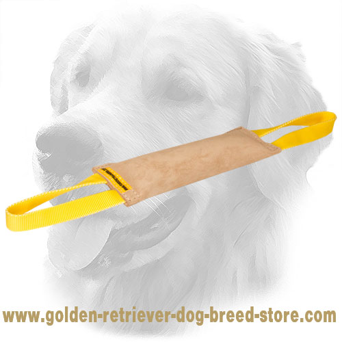  Golden Retriever Bite Tug with Comfortable Handles