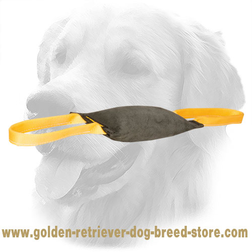 Golden Retriever Bite Tug with Comfortable Handles