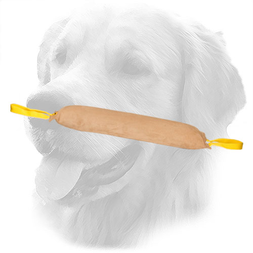 Golden Retriever Bite Tug for Large Dog Training