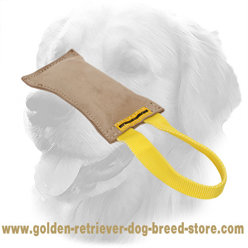 Golden Retriever Bite Tug for Puppy Training