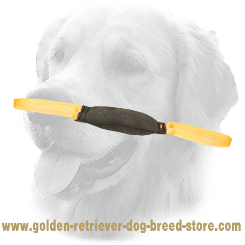Golden Retriever Bite Tug for Young Dog Training