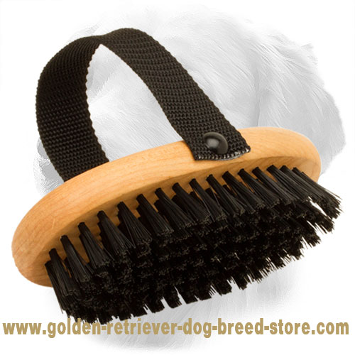 Golden Retriever Brush for Dog Grooming