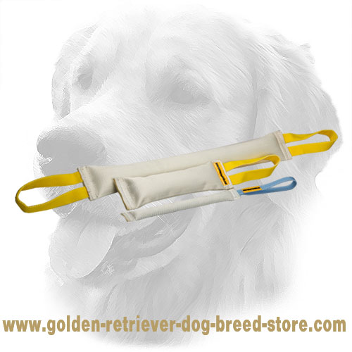 Fire Hose Golden Retriever Bite Training Set of 3 Dog Items