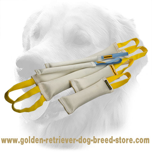 Fire Hose Golden Retriever Bite Training Set of 6 Dog Items