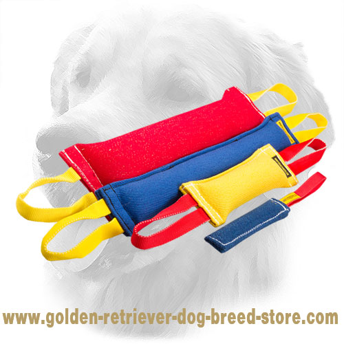 French Linen Golden Retriever Bite Training Set for Adult Dogs