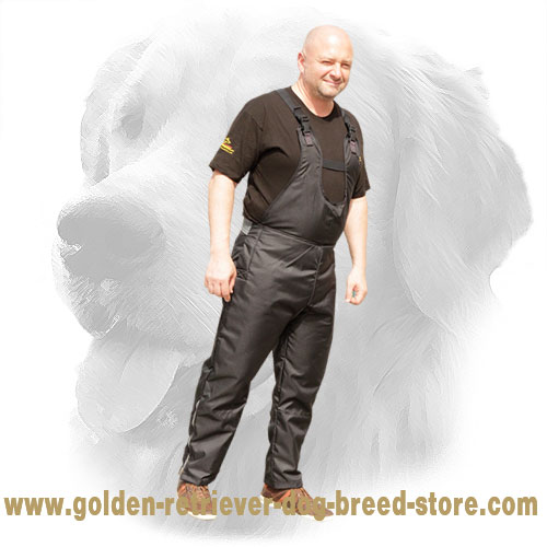 Light Weight Scratch Pants for Golden Retriever Training