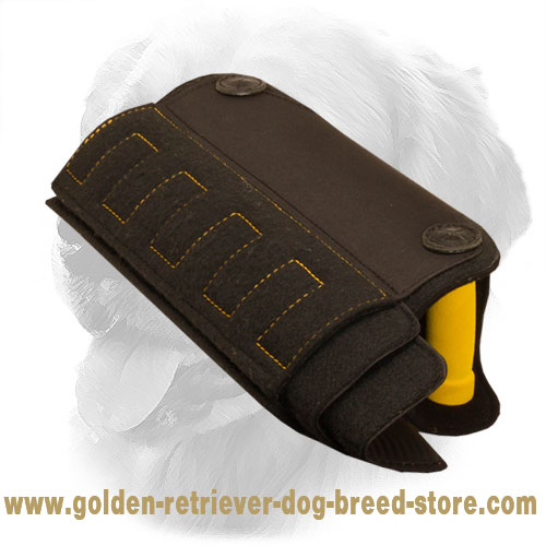 Golden Retriever Bite Builder with Extra Durable Padded Handles