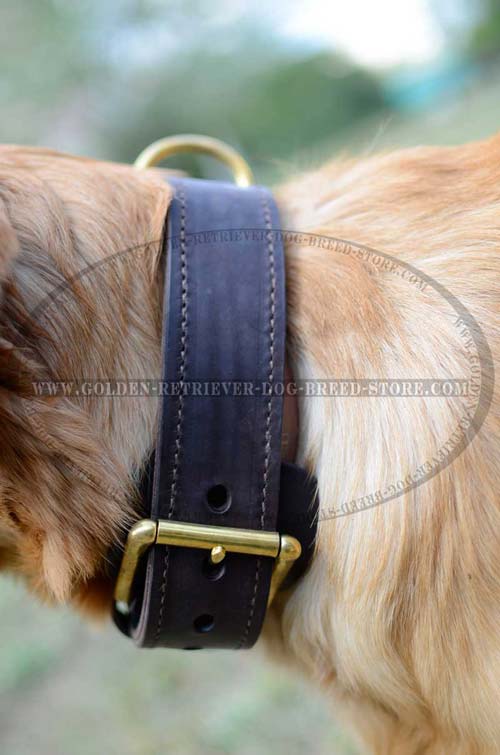 Brass Hardware on Leather Dog Collar
