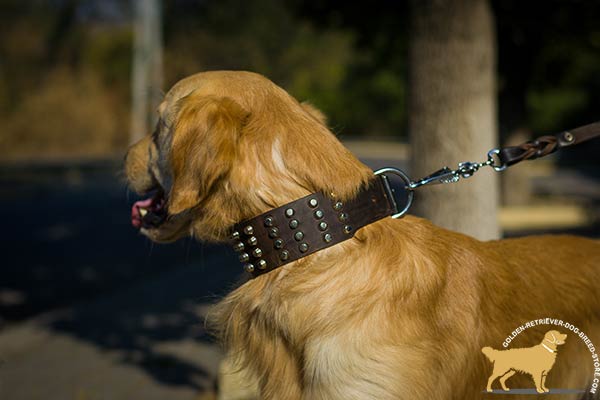 Time-proof Golden Retriever Collar with Massive  Hardware