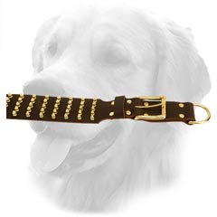 Strong D-Ring on Golden Retriever Leather Collar