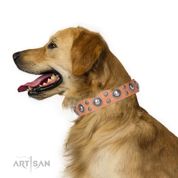 Everyday use decorated dog collar of high quality leather