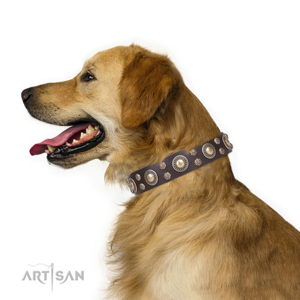Daily use adorned dog collar of top notch natural leather