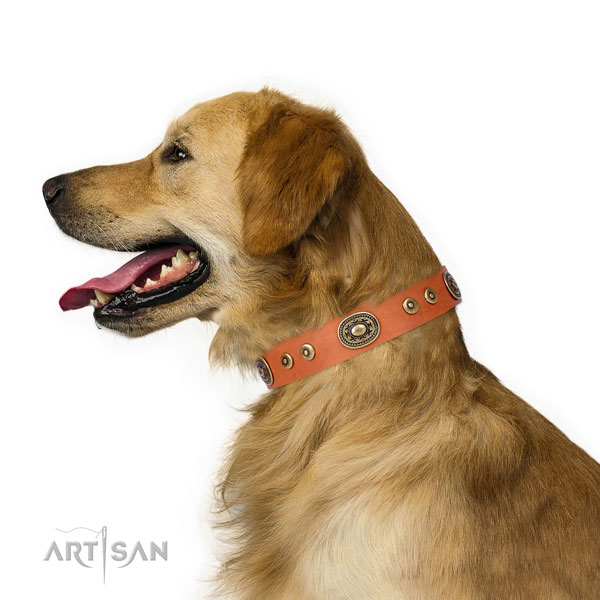 Exquisite decorated genuine leather dog collar for easy wearing