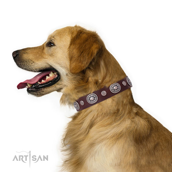 Rust resistant buckle and D-ring on leather dog collar for daily walking