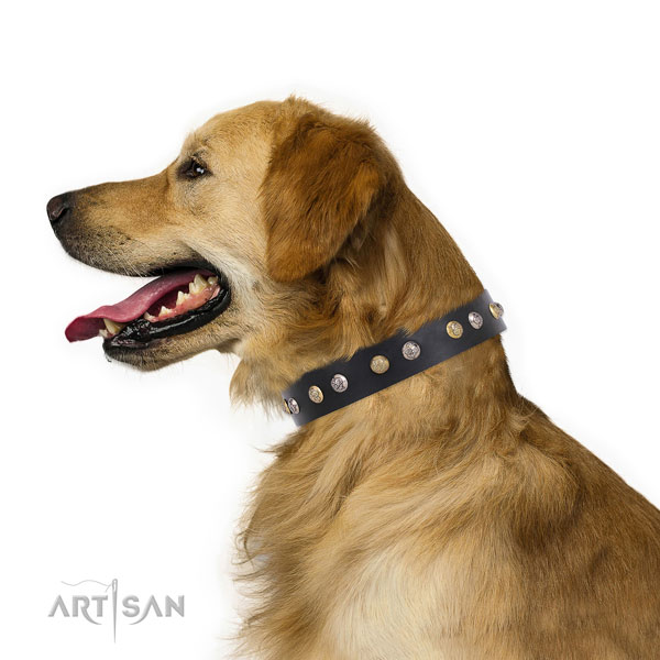 Full grain leather dog collar with rust resistant buckle and D-ring for daily walking