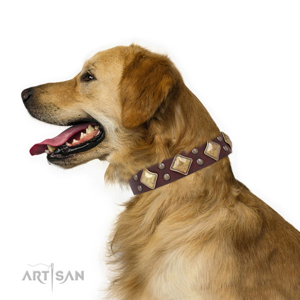 Stylish walking decorated dog collar made of durable leather