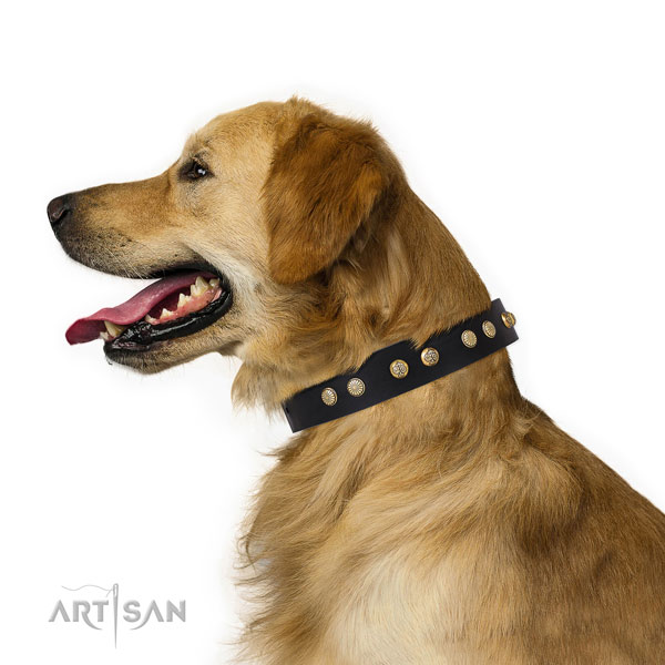 Awesome decorations on easy wearing leather dog collar