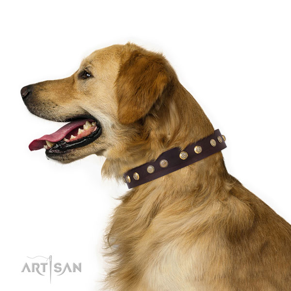 Stunning adornments on handy use genuine leather dog collar