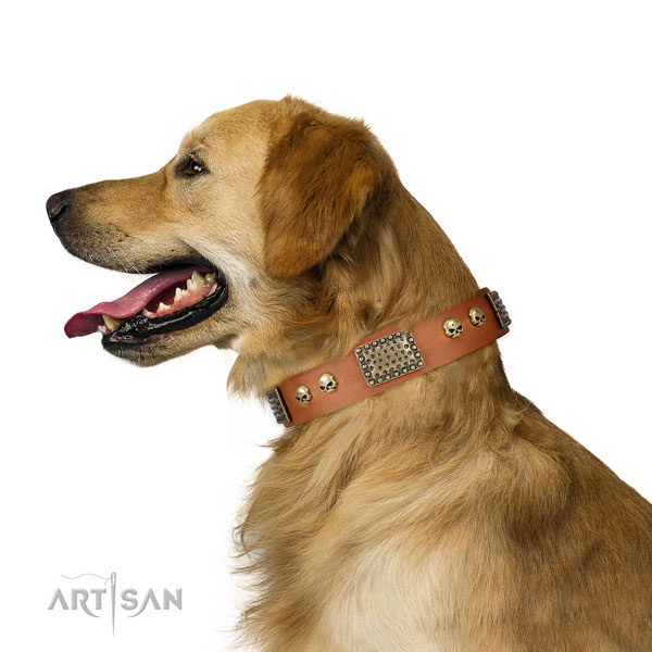 Reliable buckle on natural leather dog collar for daily use