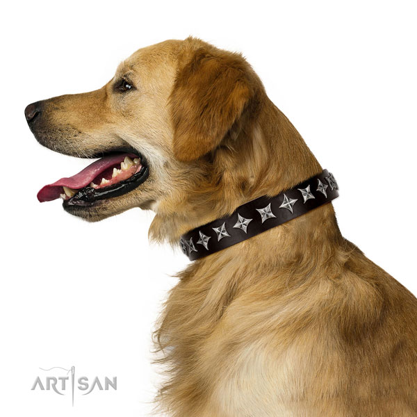 Comfy wearing decorated dog collar of high quality natural leather