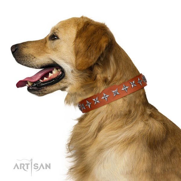 Best quality full grain genuine leather dog collar with significant decorations