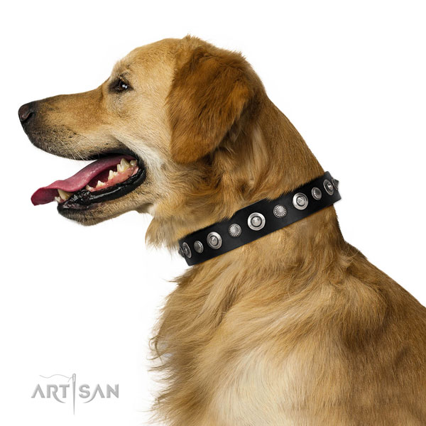 Quality genuine leather dog collar with significant decorations