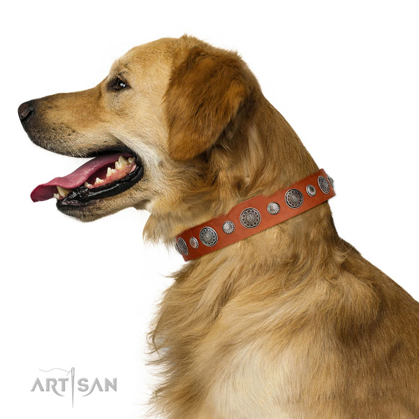 Remarkable Full grain natural leather dog collar with corrosion proof D-ring