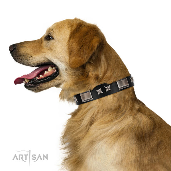 Walking reliable full grain natural leather dog collar with adornments