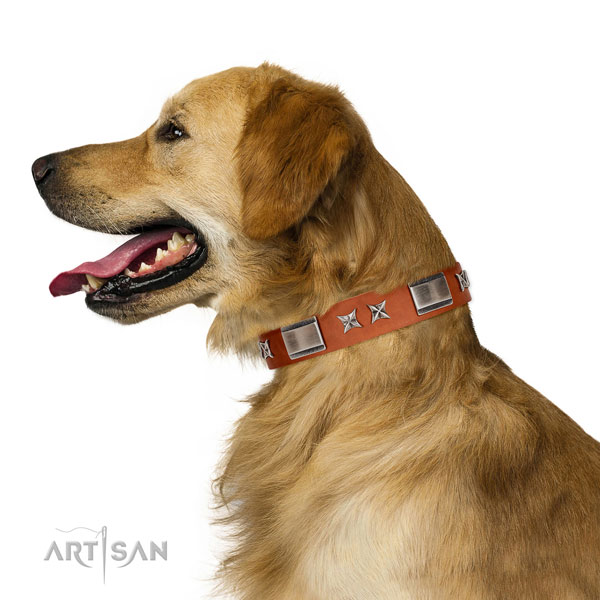 Comfy wearing reliable full grain genuine leather dog collar with studs