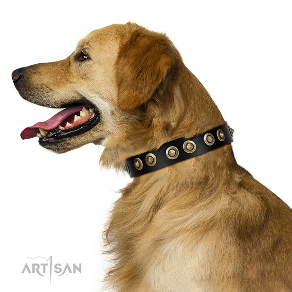 Easy wearing dog collar of natural leather with trendy decorations