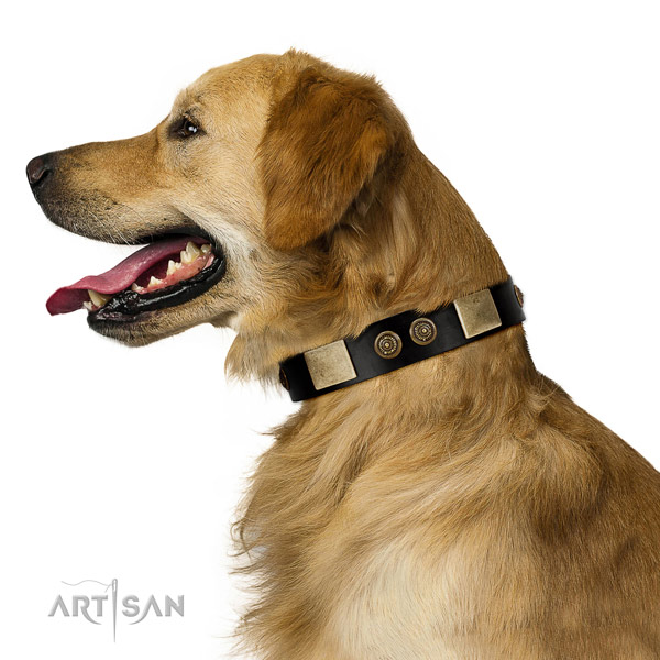 Handy use dog collar of leather with inimitable adornments