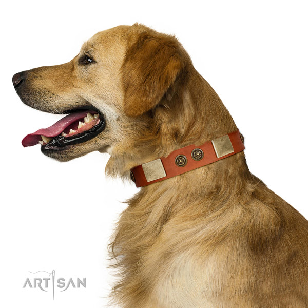 Embellished dog collar made for your stylish dog